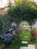 Garden glory