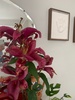 Garden glory