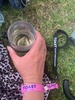 Returned to toast after nearly 20 years! Marties weather didn’t disappoint even with thunder predicted… delish people, wine and food. Saturday brackenridge which was delightful to boot.