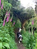 T park. Zobies favorite walk