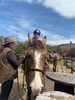 We did a horse trek in the river! Tom, olive and juni’s first time on a horse too. They smell so lovely.