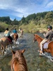 We did a horse trek in the river! Tom, olive and juni’s first time on a horse too. They smell so lovely.