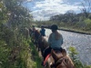 We did a horse trek in the river! Tom, olive and juni’s first time on a horse too. They smell so lovely.