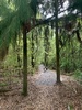 A walk in botanical gardens