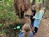 A walk in botanical gardens