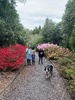 A walk in botanical gardens