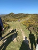 We did the skyline! 14km from nandads house to Karori park. Took just over 4 hours. Very proud of the girls, longest walk of their lives (so far)