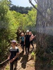 We did the skyline! 14km from nandads house to Karori park. Took just over 4 hours. Very proud of the girls, longest walk of their lives (so far)