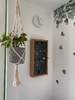Grandads beautiful rock box for olive is finally on a wall! Looks stunning.