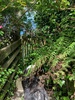 Finding our garden again… nice to have some flowers again
