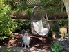 Finding our garden again… nice to have some flowers again