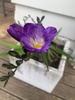 Finding our garden again… nice to have some flowers again