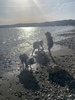 Petone beach walk and dinner