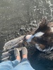 Petone beach walk and dinner