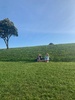 Petone beach walk and dinner