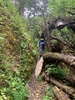 Tinakori reserve explore this morning with my two men. Lovely view at the top.