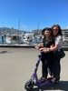 Kids had a day at te papa and beach with Aunty Lauren, nandad and cousins, I met them after and caught a train home with zobie… apparently dogs have to be in a cage?! First and last train trip for zobie.