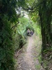 A walk up wrights hill