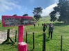 Mt Tauhara! 3km up 600m. Ended up being around 7km to the top and back. Kids all did amazingly. Loved the giant boulder, stream, root steps, tree elbows sticking up, hairy trees, baby canyons, an octopus’s garden, kooky spooky trees, gorillas in the mist to the top. Took about 3 hr.