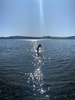 Taupo fun
