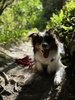 He loves our bush walks