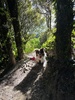 He loves our bush walks