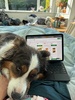 While daddy was away, we were so productive after the fair!