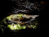 Day 3: 20km with mushrooms,glowworm cave and limestone formations with a tropical feel to the forest.