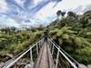 Day four: 16km the last day of beaches and Nikau palms. An amazing walk, something different on each day.
