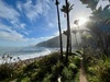 Day four: 16km the last day of beaches and Nikau palms. An amazing walk, something different on each day.