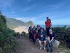 Day four: 16km the last day of beaches and Nikau palms. An amazing walk, something different on each day.