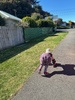 Roller blading the park while oli has a daddy work day