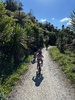 Whakarewarewa mountain bike forest. Took the kids on the kids loop,Tahi and dipper. They did so well. I managed the creek on my own.