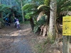 Whakarewarewa mountain bike forest. Took the kids on the kids loop,Tahi and dipper. They did so well. I managed the creek on my own.
