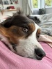 Mr needy at the moment in the mornings