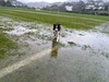 Wettest day ever! Zorro had a field day