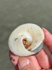 A day trip to the sea. Chip butties, a swim, crab, sea snail and ice cream at Waikanae beach. I thought I had found a beautiful shell for our collection but discovered a little friend instead.