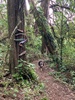 ?Narnia walk