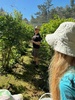Blueberry picking! Got a kilo but it was quickly all picked out! Heaps unripe ones just waiting for another week!