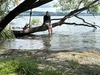 Bike ride around to 4 mile bay to our water swing and a dip. Lake was lovely, finished with a foot spa at one of the thermal streams running into the lake.
