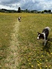 Enjoying the taupo rituals