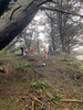 Christmas Day! Potatoes in the stockings, Misty walk to the swing, bacon for breakfast and then lunch at James and Hannah.