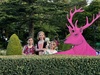 Botanical gardens concert and nature hunt
