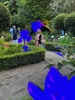 Botanical gardens concert and nature hunt