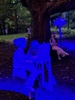 Botanical gardens concert and nature hunt