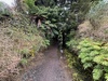 A small section of the hauraki rail trail - Waihi to waikino via train and then to the karangahake gorge and 1km tunnel. 14km return. All the girls did super well. I left them and did the last section to Waihi which was a bit more hilly with rough and smooth trails but stunning scenery.