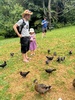 Katikati bird gardens, feather hunting.