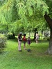 Katikati bird gardens, feather hunting.