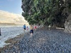 We checked out the caves around Anzac bay at low tide and met some crabbies.
