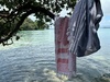 Shelly bay with stingray and a paddle.
